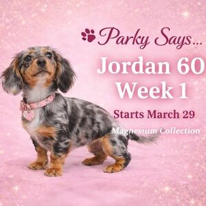 🐾 Parky Says… Something Exciting Coming March 29! ✨